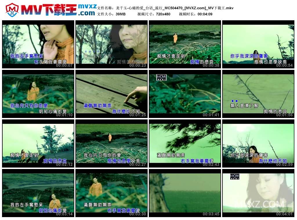 龙千玉-心痛的爱_台语_流行_MC504470